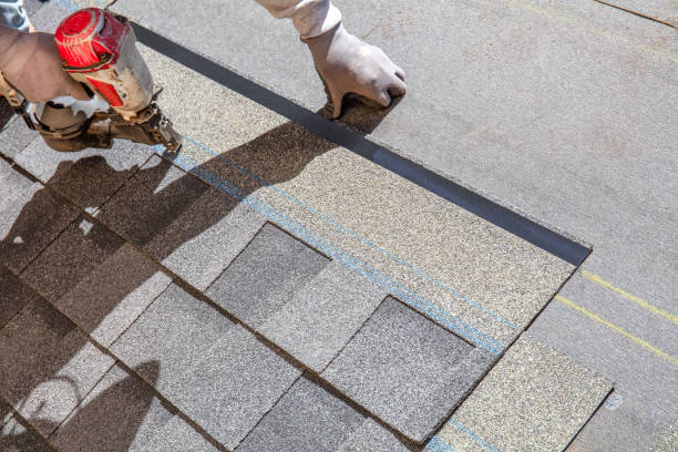 Best Roof Repair Services  in Larned, KS